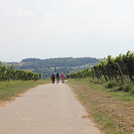 Ferienwohnung Familie Seuferle Schweigen-Rechtenbach Zewnętrze zdjęcie