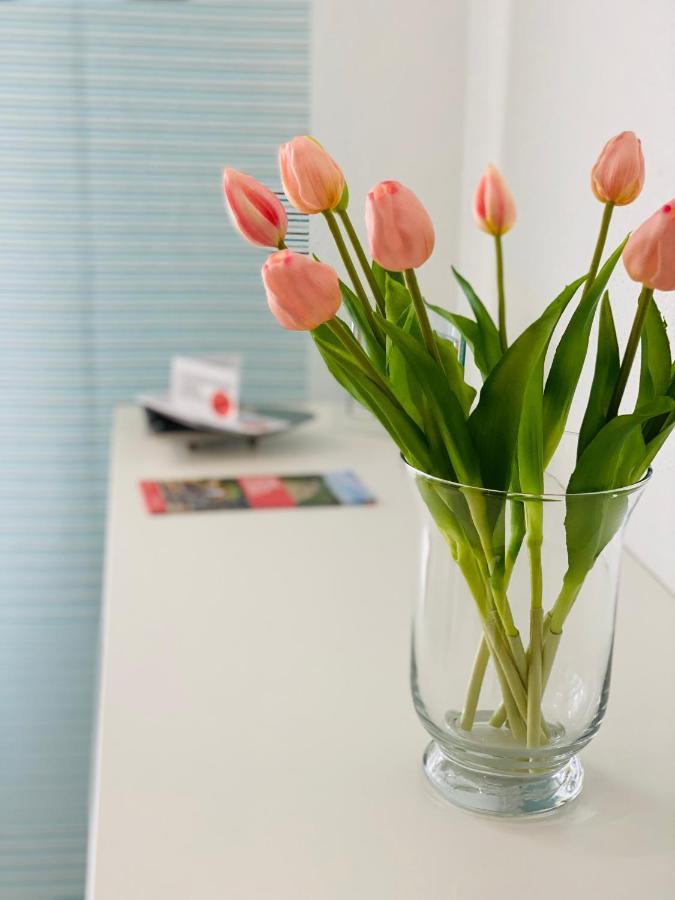Ferienwohnung Familie Seuferle Schweigen-Rechtenbach Zewnętrze zdjęcie
